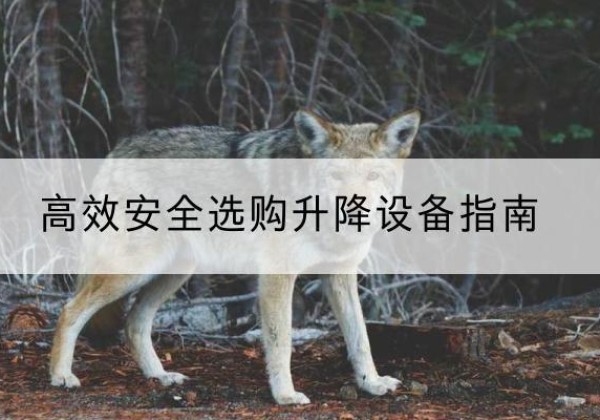 团风升降货梯厂家推荐-*安全选购升降设备指南