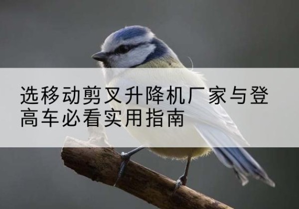 团风电动升降机厂家-选移动剪叉升降机厂家与登高车必看实用指南