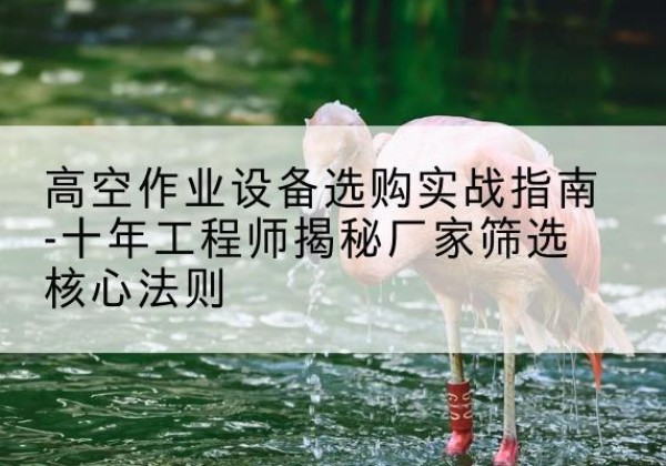 团风剪叉式升降机厂家-高空作业设备选购实战指南-十年工程师揭秘厂家筛选核心法则